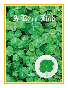 four leaf clover rare find greeting card