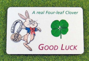 four leaf clover bunny wallet card