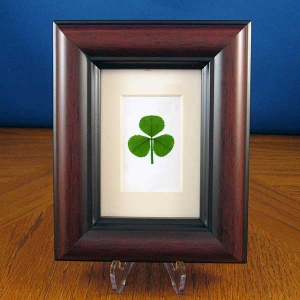 shamrock mahogany frame