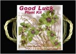 good luck plant kit