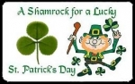 st patrick shamrock wallet card